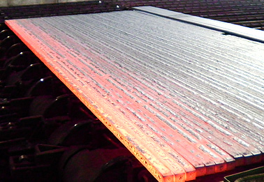 �X�`�[���r���b�g